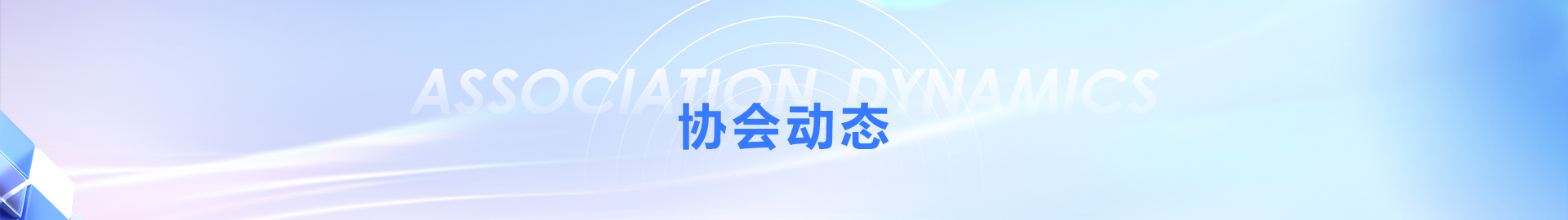 协会动态